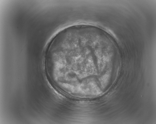 X0000074341504200609230104