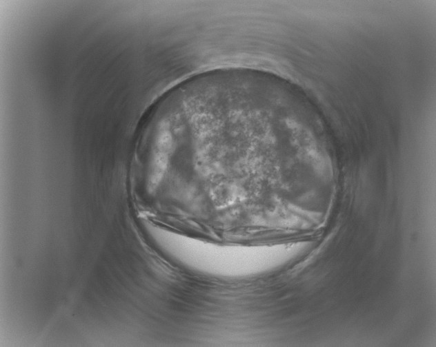 X0000074341505200609230104