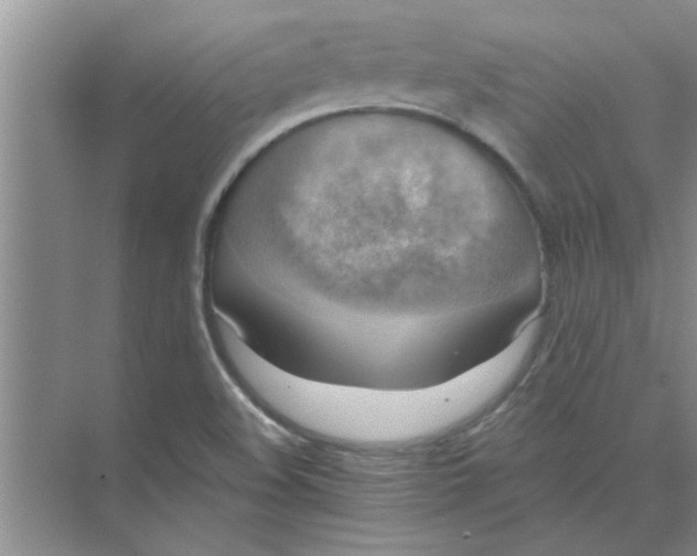 X0000074341508200609230105