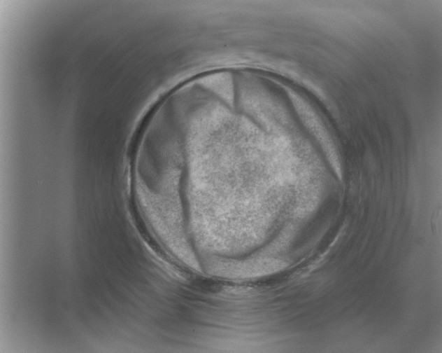 X0000074341509200609230105