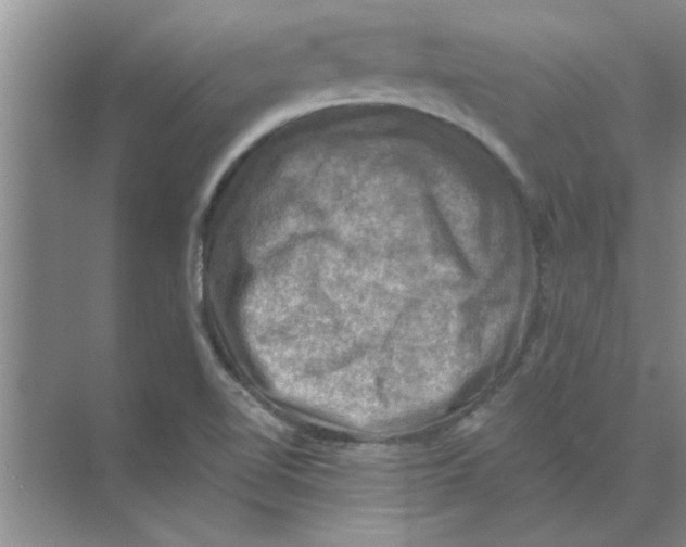 X0000074341510200609230105