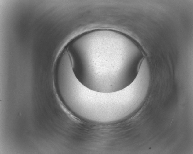 X0000074341511200609230105