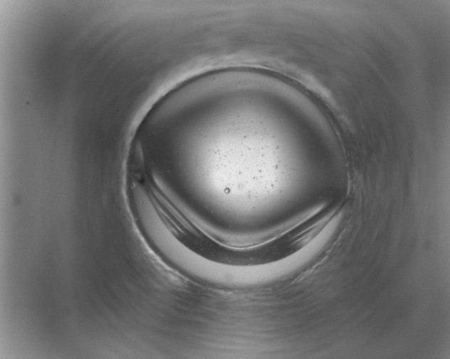 X0000074341512200609230105