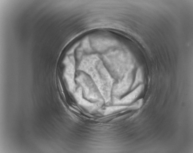 X0000074341513200609230105