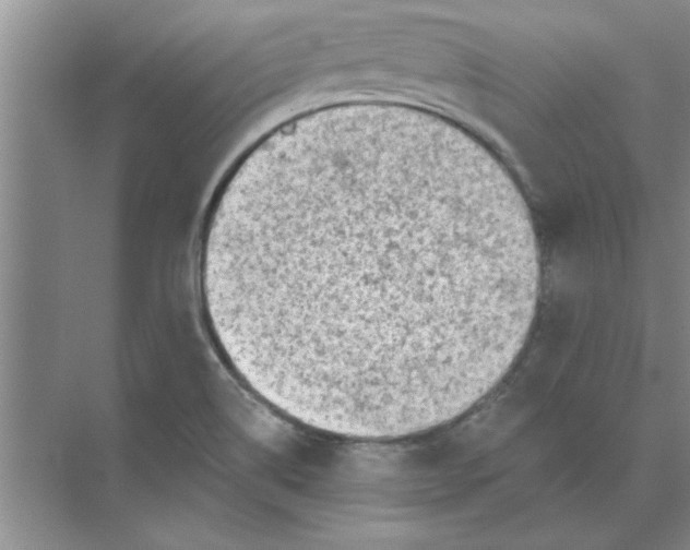 X0000074341514200609230105