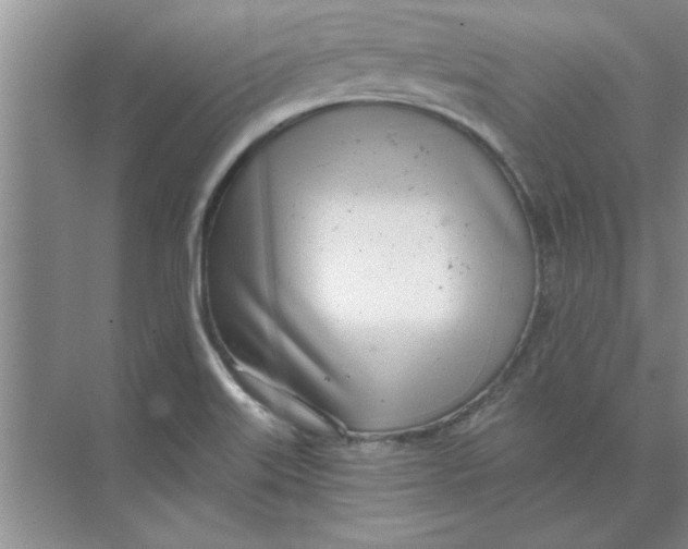 X0000074341515200609230105