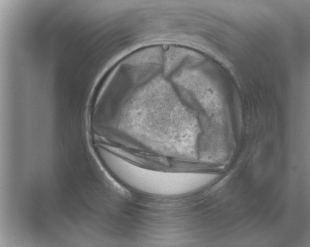 X0000074341517200609230105