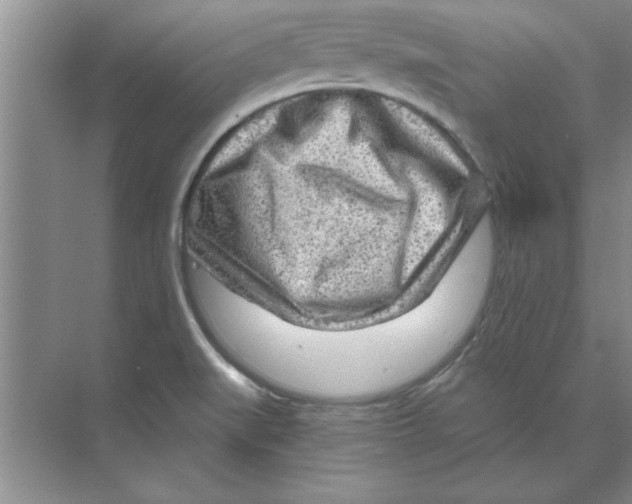 X0000074341519200609230105