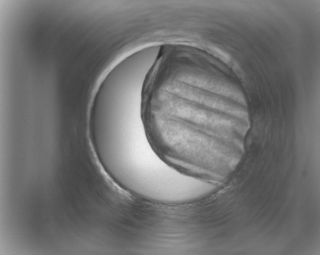 X0000074341520200609230105