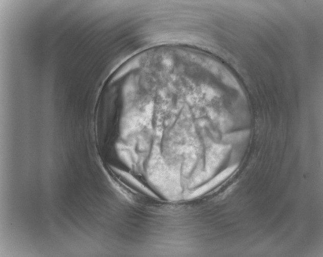 X0000074341521200609230105