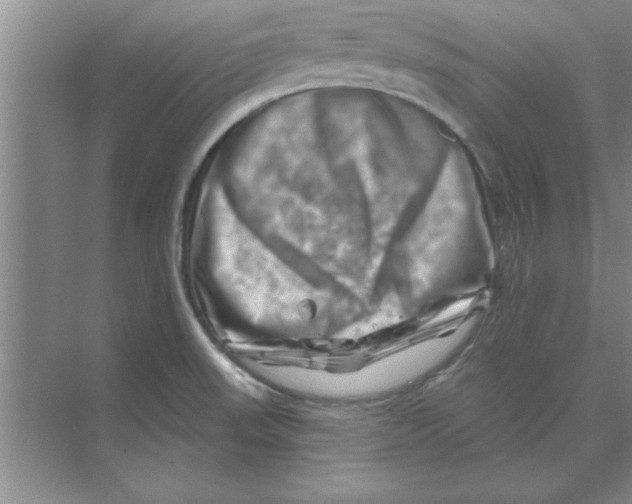 X0000074341523200609230105