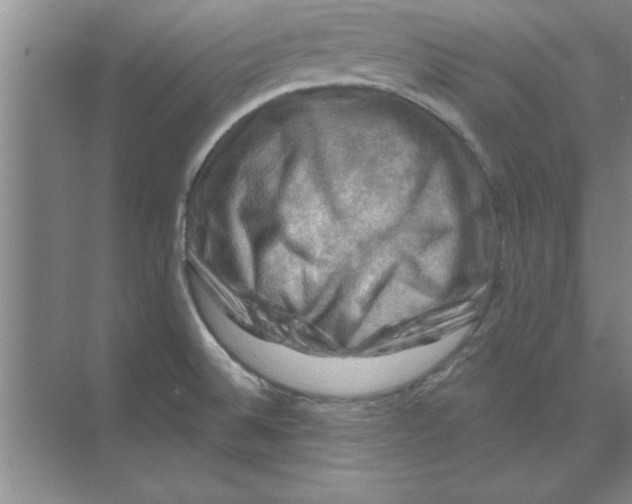 X0000074341524200609230105