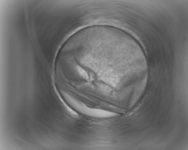 X0000074341525200609230105