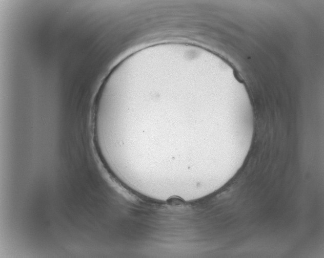 X0000074341526200609230105