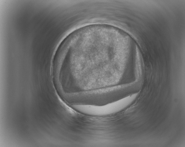 X0000074341527200609230105