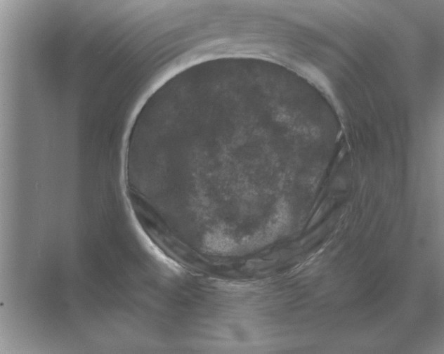 X0000074341528200609230105