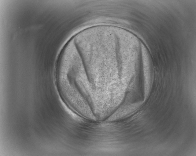 X0000074341531200609230105