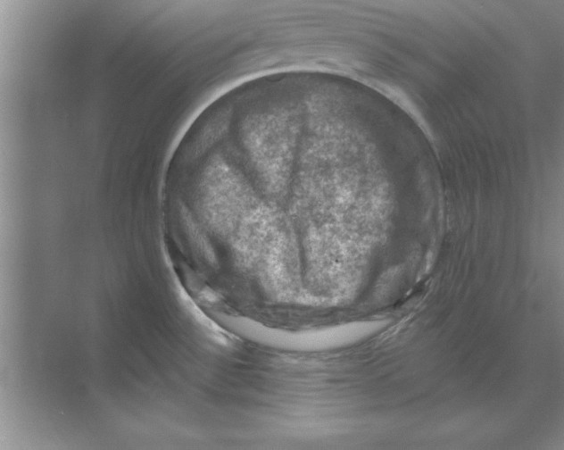 X0000074341532200609230105