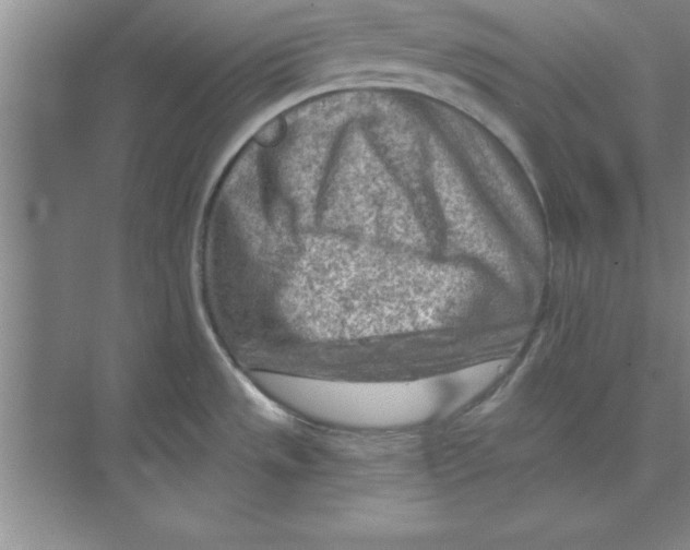 X0000074341533200609230105