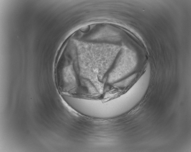 X0000074341535200609230105