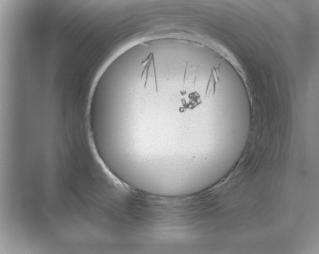 X0000074341536200609230105