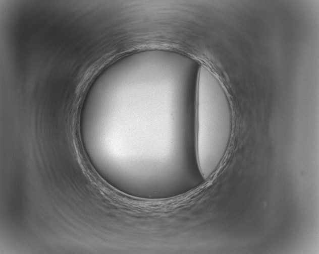 X0000074930001200609010931