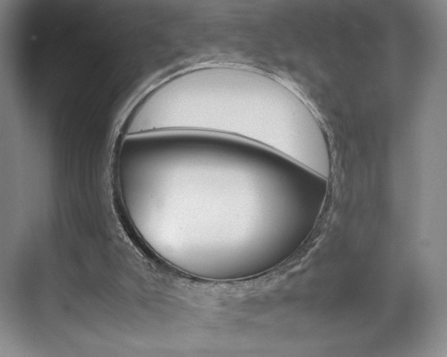 X0000074930007200609010931