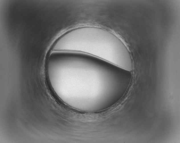 X0000074930008200609010931