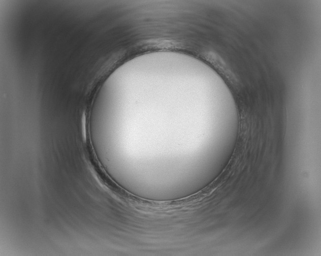 X0000074930014200609010931