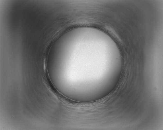 X0000074930021200609010931