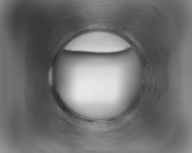 X0000074930024200609010931