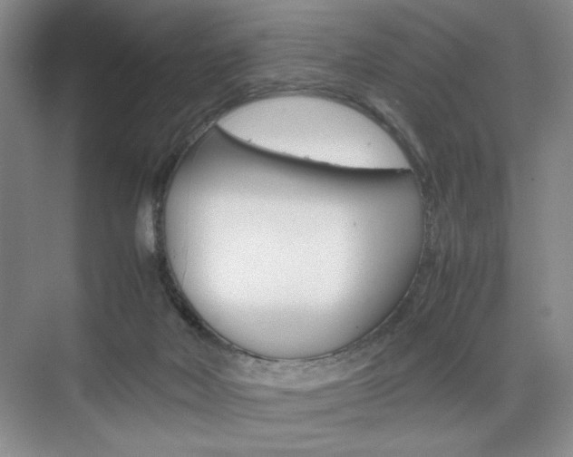 X0000074930026200609010931