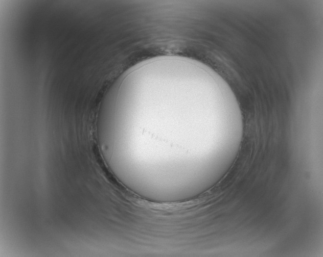 X0000074930030200609010931