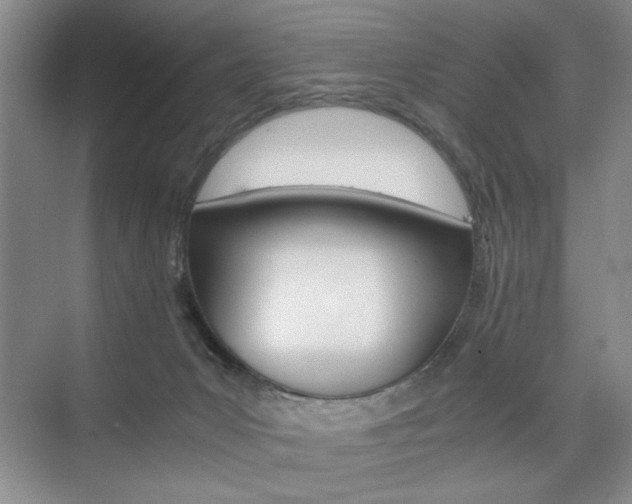X0000074930031200609010931