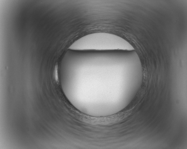 X0000074930046200609010930