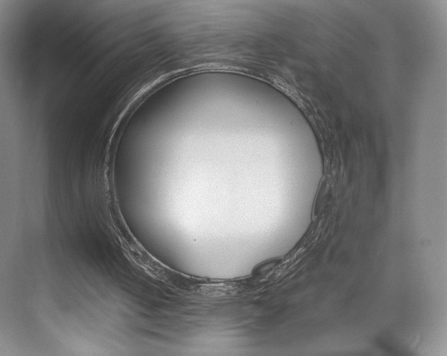 X0000074930050200609010929