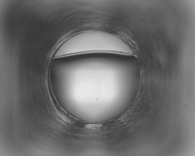 X0000074930051200609010929