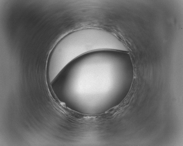 X0000074930052200609010929