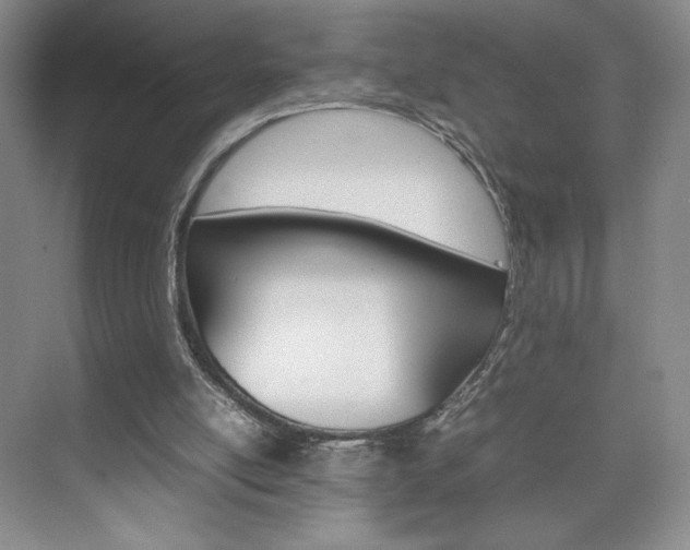 X0000074930054200609010930