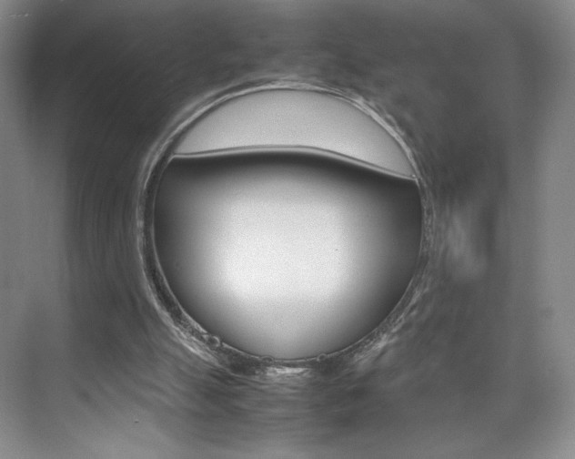 X0000074930055200609010930