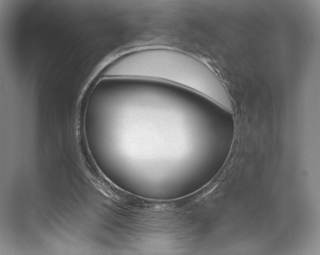 X0000074930056200609010930