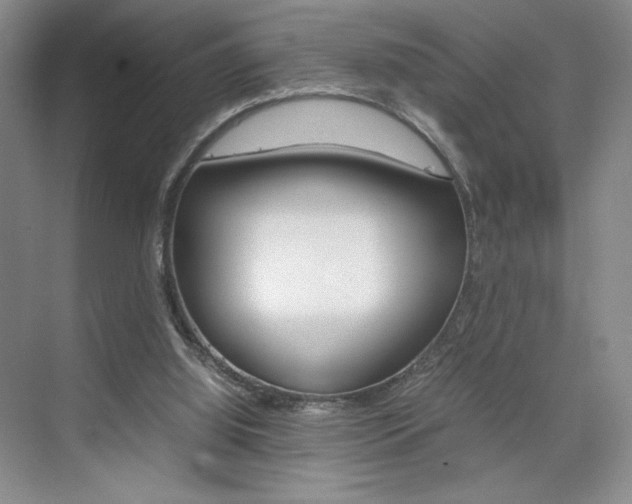 X0000074930060200609010930