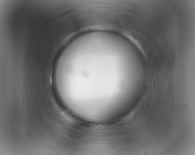 X0000074930062200609010930