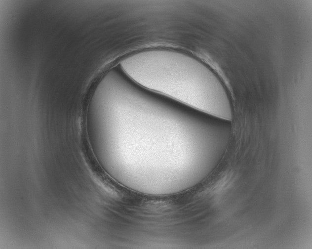 X0000074930063200609010930