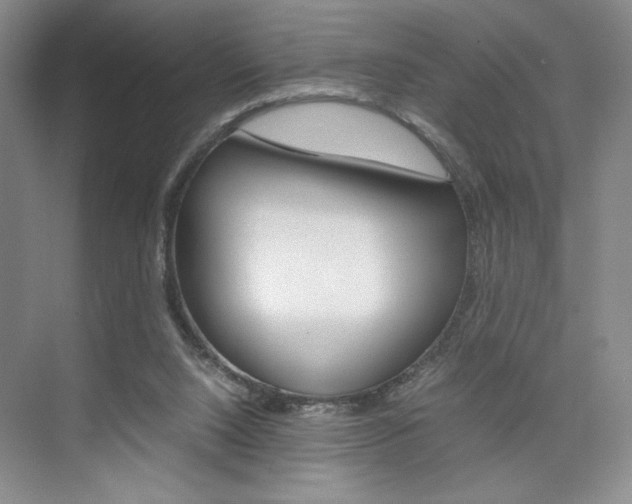 X0000074930064200609010930
