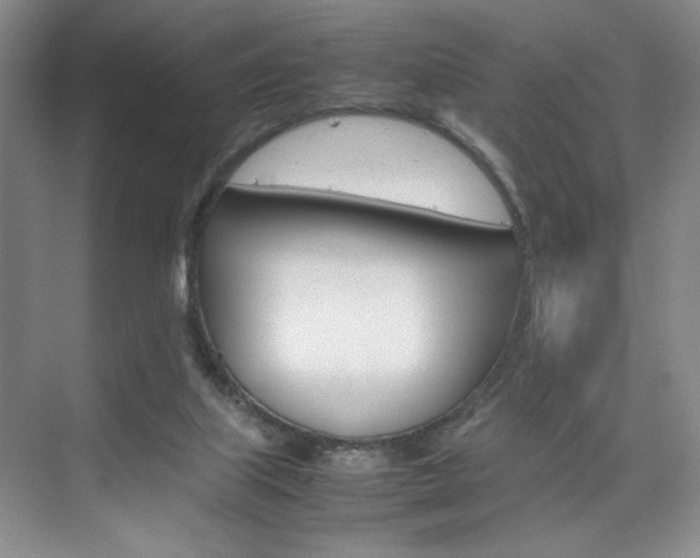 X0000074930067200609010930