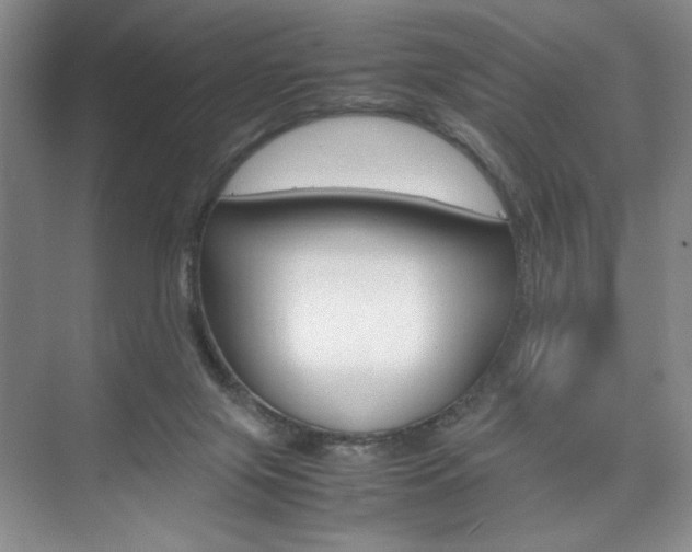 X0000074930071200609010930