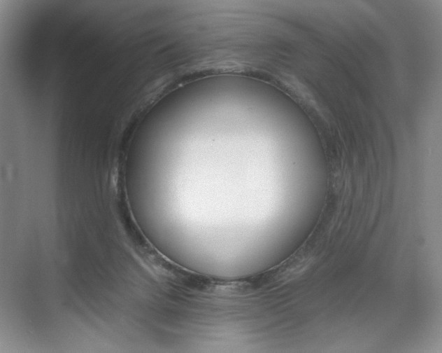 X0000074930072200609010930