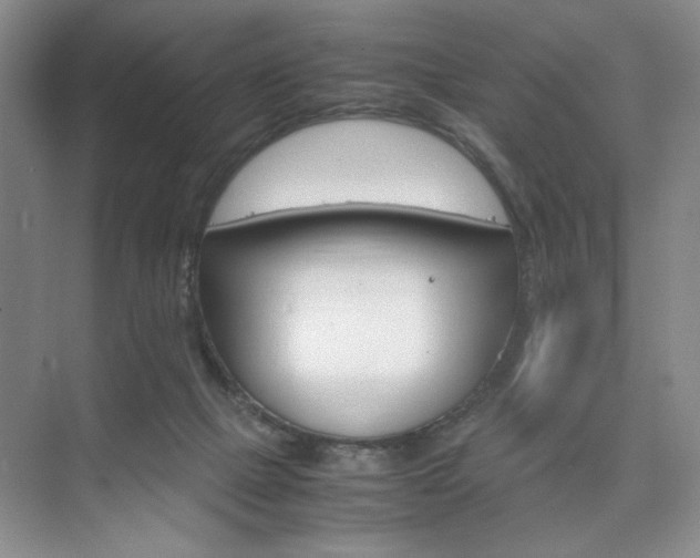X0000074930073200609010930