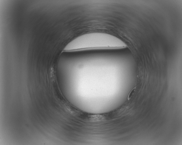 X0000074930087200609010930